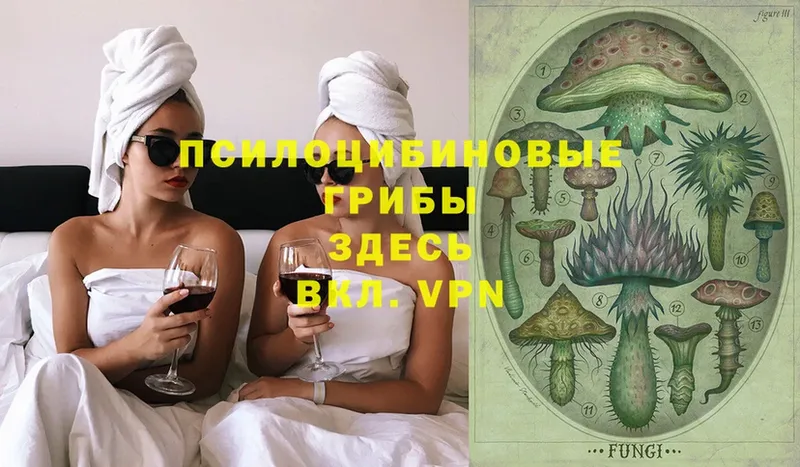 Галлюциногенные грибы Psilocybine cubensis  Бирюсинск 